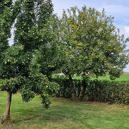 Zollhausblick شقة