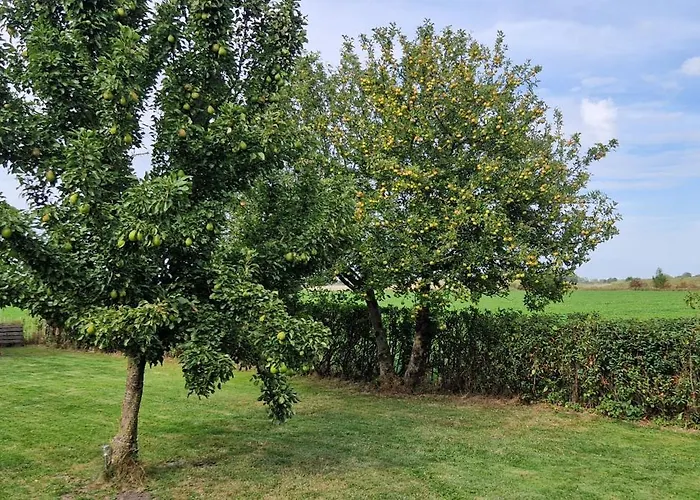 Zollhausblick Lejlighed